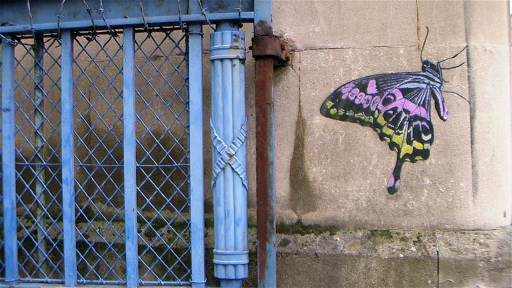  by Nick Walker in Bristol