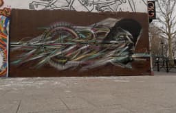 Hopare