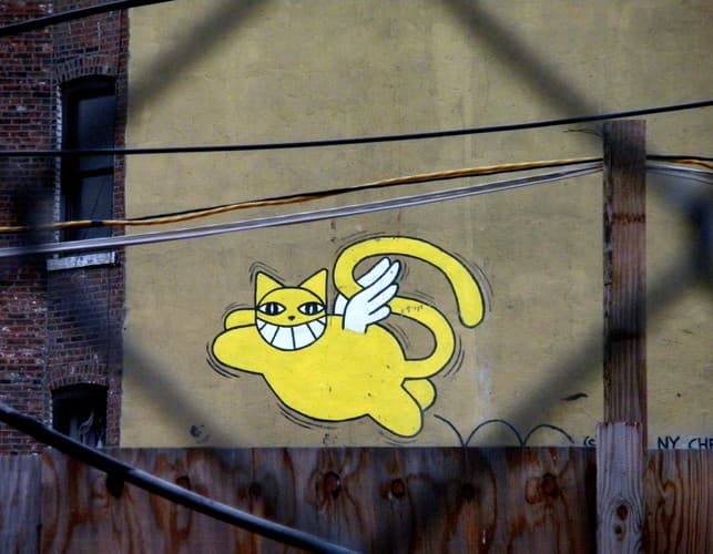  by Monsieur Chat in New York City