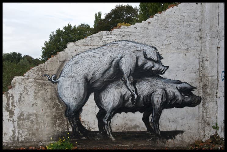  by Roa 