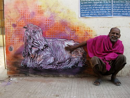  by C215 in New Delhi, Delhi