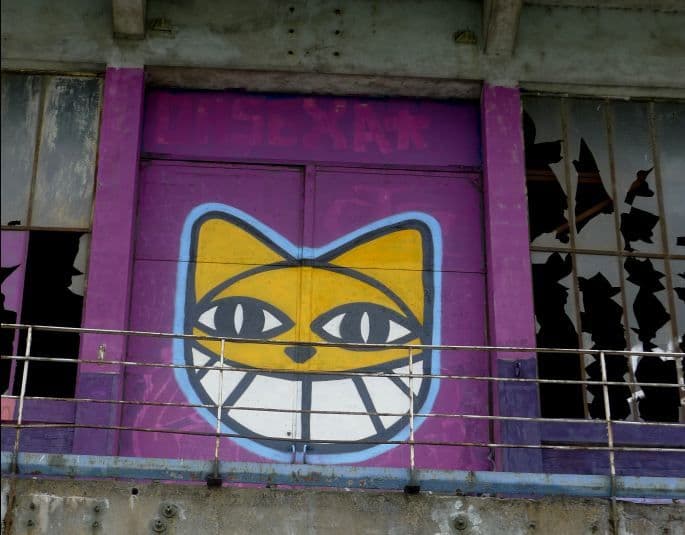  by Monsieur Chat in Paris