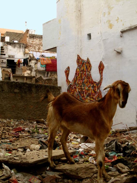   in Udaipur