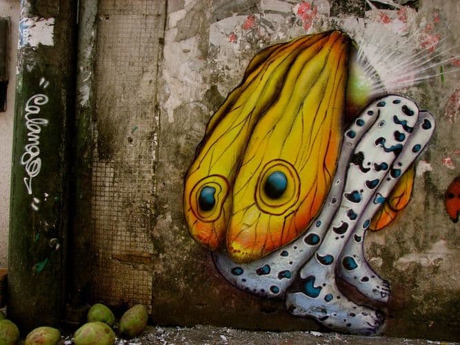  by CALANGO in Salvador