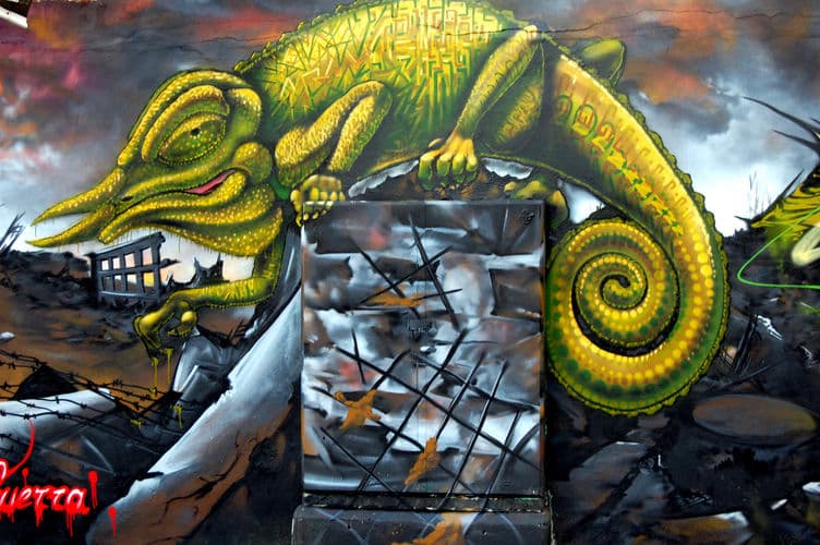  by rizo in Florianópolis