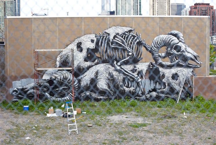  by Roa in Chicago