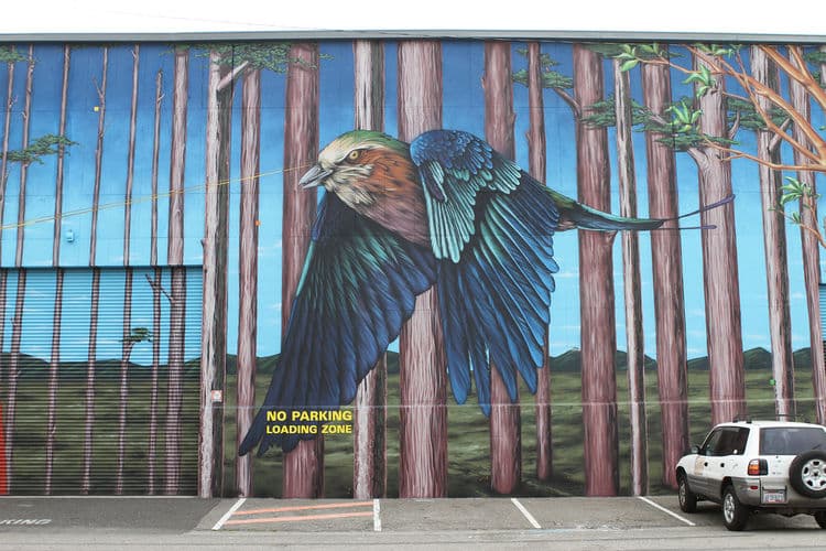  by ernest doty in Oakland