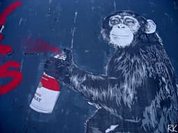 Mr BrainWash