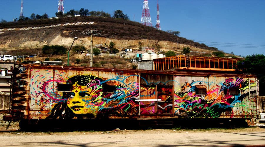  by stinkfish in Oaxaca de Juárez Municipality