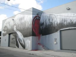 Roa