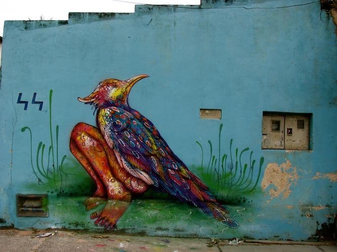  by Calangos in Salvador