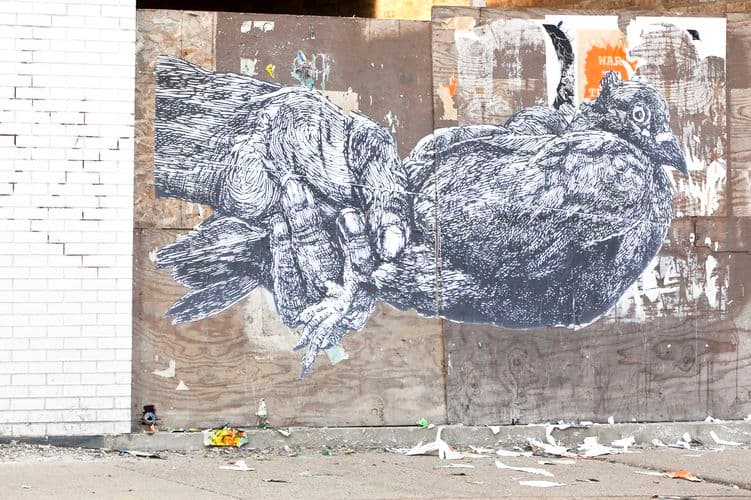  by Gaia in Chicago