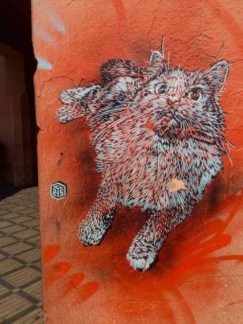  by C215 in Marrakesh, Marrakesh-Safi