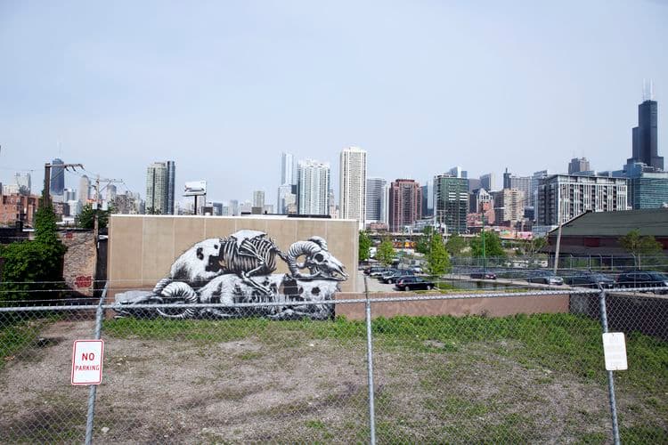  by Roa in Chicago